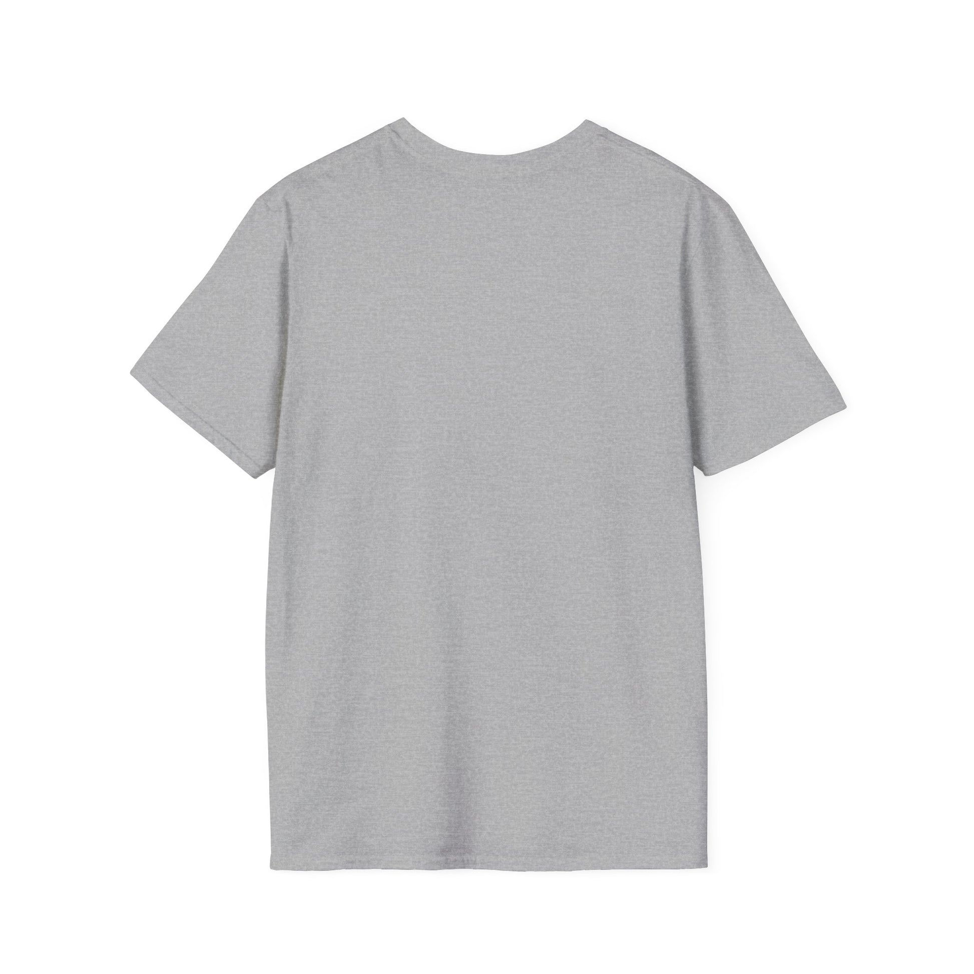 Plain back of a heather-gray t-shirt, flat product shot of the USA eagle 250 tee